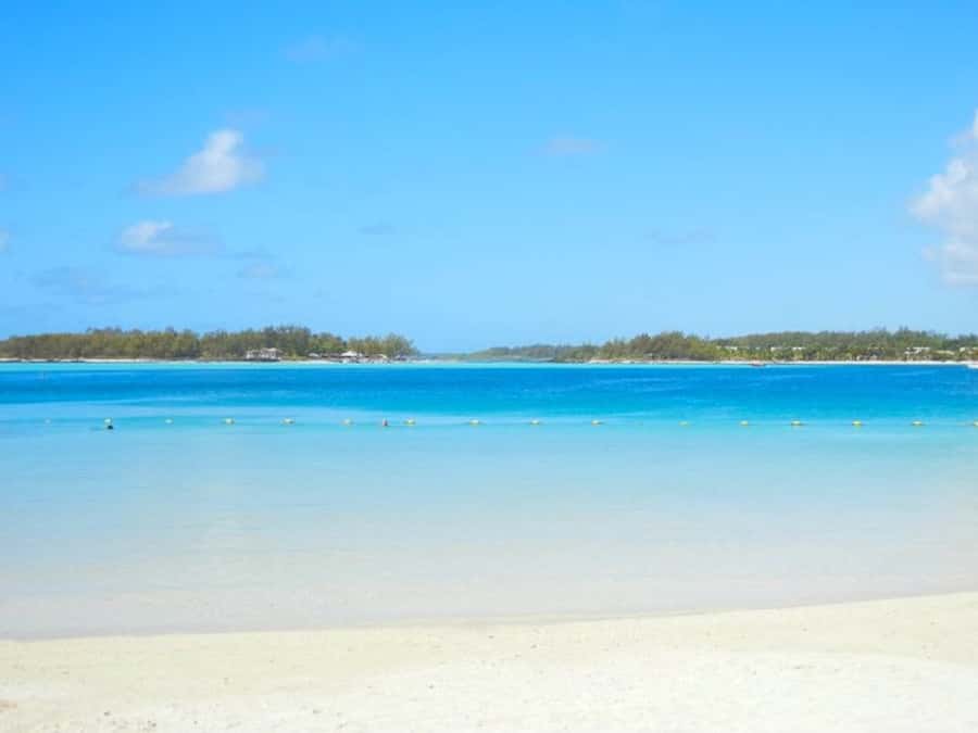 Ile aux Aigrettes Reserve & Blue Bay Glass Bottom Boat - Small details that make the day better