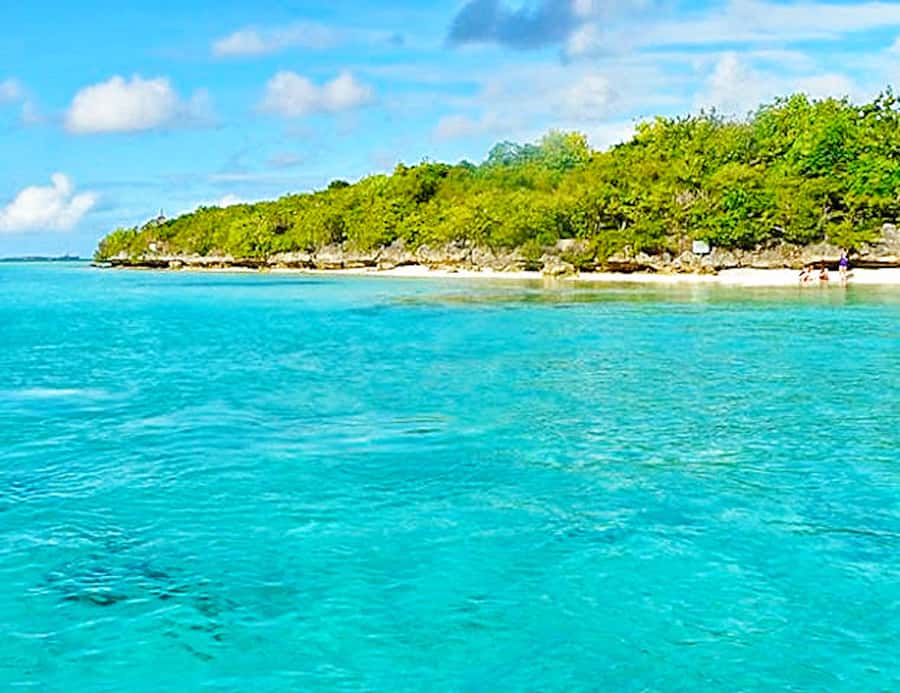 Ile aux Aigrettes Reserve & Blue Bay Glass Bottom Boat - Should you book the Ile aux Aigrettes and Blue Bay tour?