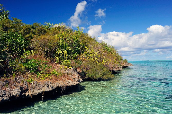 Ile aux Aigrettes - Tea Route - Gris Gris Private Guided Tour (Min. 2 persons) - From a small island reserve to Mauritius’s southern coast