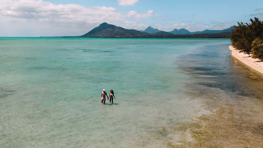 Île aux Bénitiers: Snorkeling w/Dolphins Boat Tour & Lunch - Transport, timing, and the $115 value