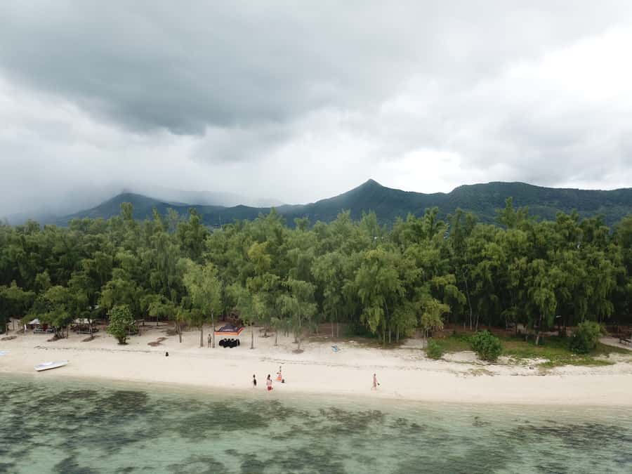 Île aux Bénitiers: Snorkeling w/Dolphins Boat Tour & Lunch - Who will enjoy this trip most
