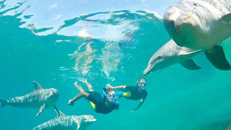Île aux Bénitiers: Snorkeling w/Dolphins Boat Tour & Lunch - The speedboat ride from the west coast