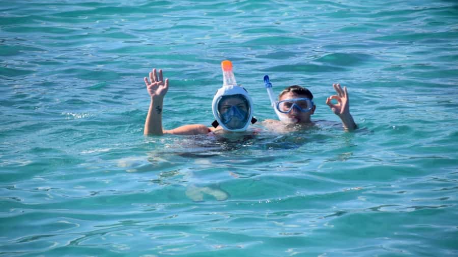 Île aux Bénitiers Snorkeling with Dolphins + Seafood Lunch - Key points at a glance