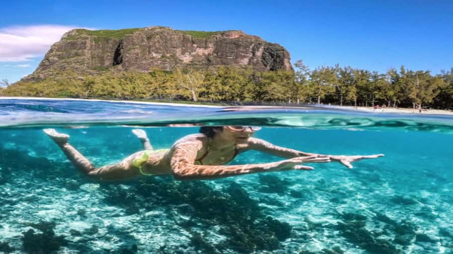 Île aux Bénitiers Snorkeling with Dolphins + Seafood Lunch - Crystal Rock and the Le Morne view