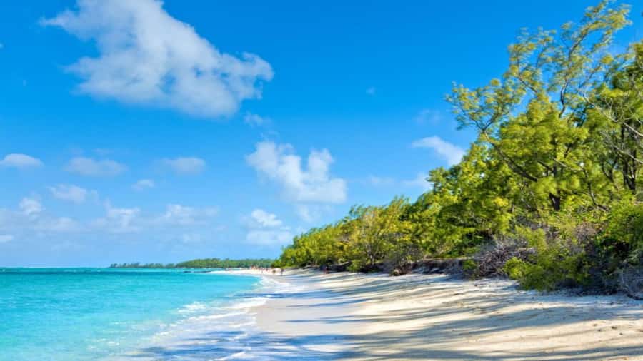 Ile Aux Cerfs Catamaran Trip w/ Lunch, Drinks & Transfer - Optional water sports and extra costs