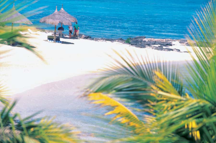 Ile aux Cerfs: Island & Waterfall Speedboat Tour with Lunch - Barbecue lunch on Ilot Mangenie
