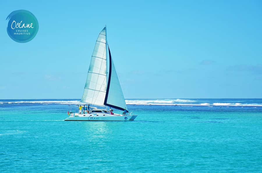 Île aux Cerfs: Private Catamaran Cruise with Gourmet Lunch - Who will enjoy this cruise most?