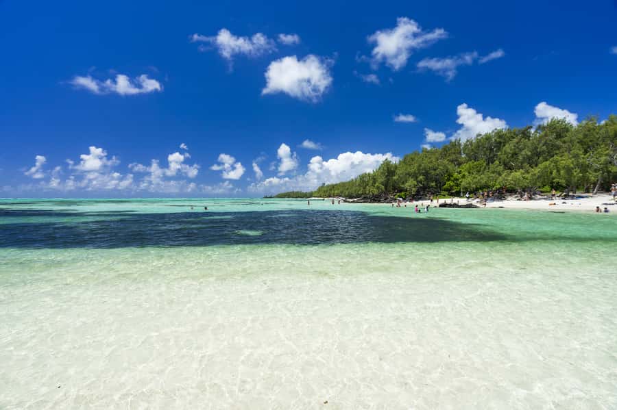 Ile aux Cerfs Speedboat Trip & Transport: Private or Shared - Three to four hours on Ile aux Cerfs