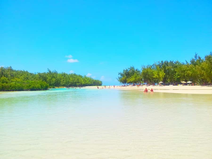 Ile aux Cerfs Speedboat Trip & Transport: Private or Shared - What the private and shared options really change
