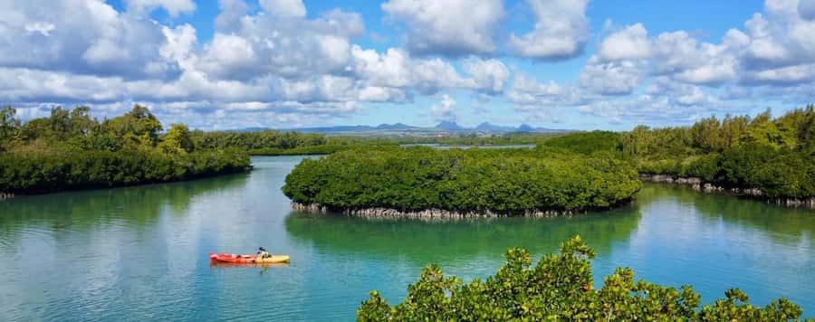 Ile d Ambre Kayaking - Paddling past the pirogues to the mangroves