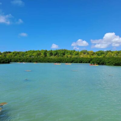 Ile d Ambre Kayaking