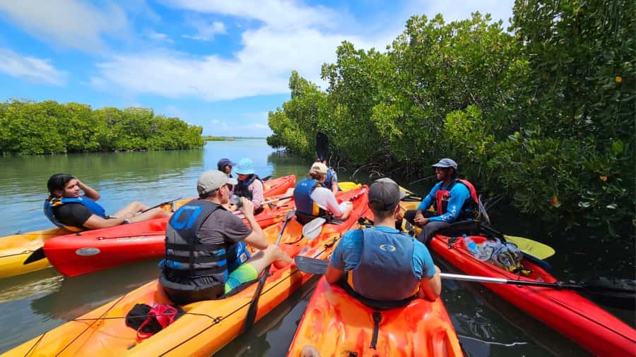 Ile d Ambre Kayaking - Swimming and snorkeling between the paddling sections