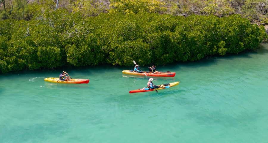 Ile d Ambre Kayaking - What $64 includes, and where the value lies