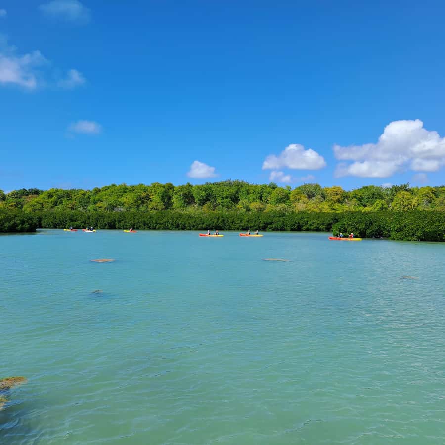 Ile d Ambre Kayaking - Starting near Goodlands and getting on the water