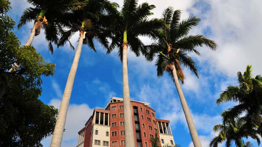 Insta-Worthy City Tour: Unveil Picture-Perfect Spots - Who will enjoy this Port Louis walk