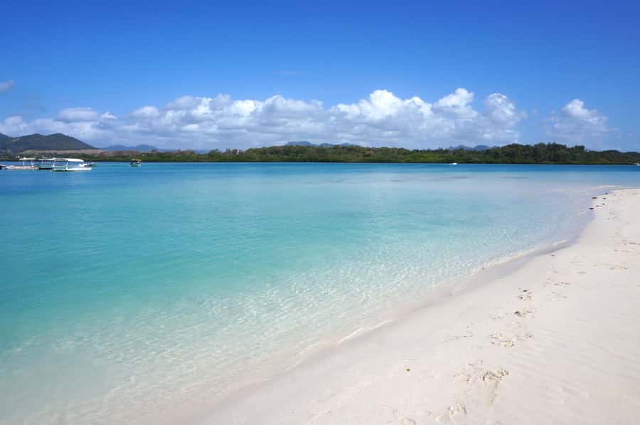 La Preneuse: Dolphin Swimming and Snorkeling Speedboat Trip - An early start at La Preneuse Beach