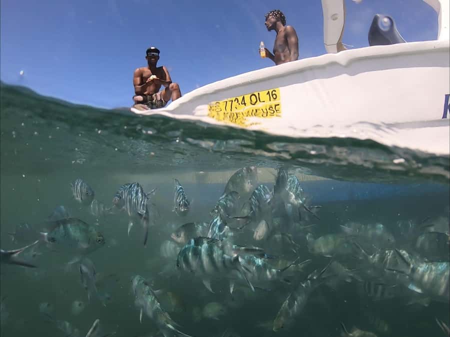 La Preneuse: Dolphin Watching and Snorkeling Speedboat Tour - Meeting the boat beside La Tour Martello