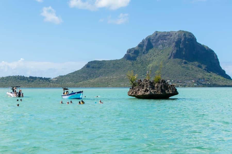 La Preneuse: Dolphin Watching and Snorkeling Speedboat Tour - What an ethical encounter looks like