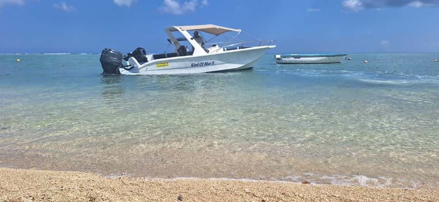 La Preneuse: Dolphin Watching and Snorkeling Speedboat Tour - The secret stop and 85 minutes on the water