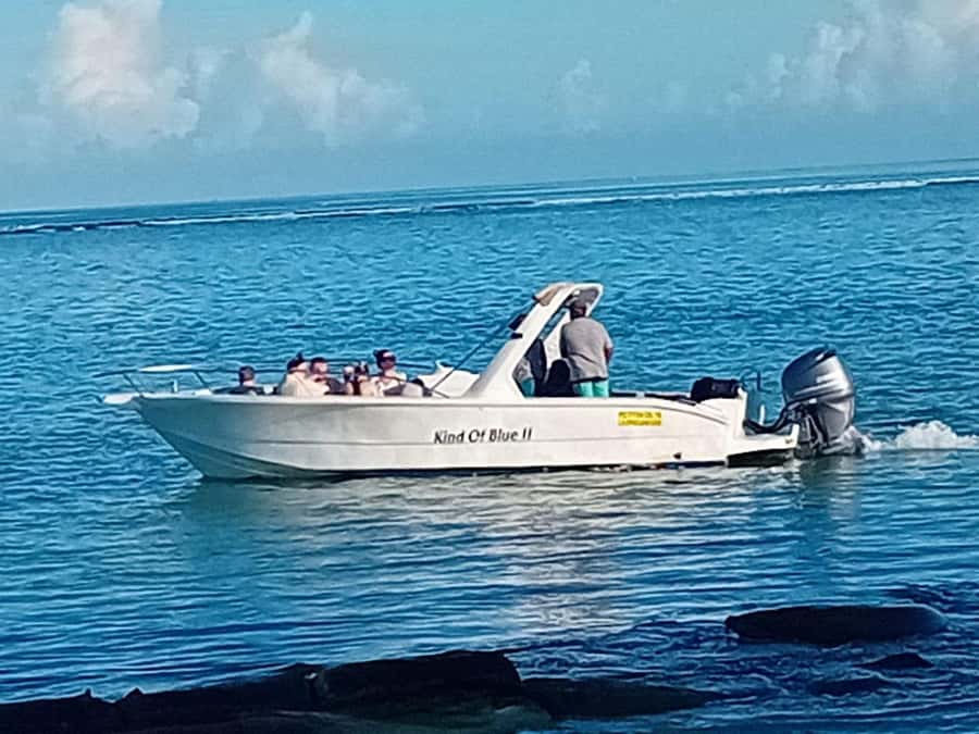 La Preneuse: Dolphin Watching and Snorkeling Speedboat Tour - A 15-minute lagoon snorkel