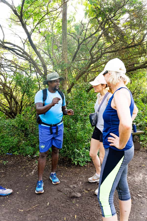 Le Morne Brabant: UNESCO Mountain Hike & Local Guides - The summit views and the value of going higher