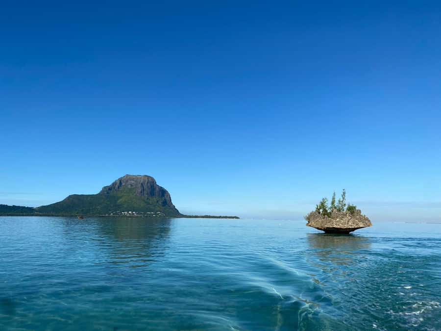 LE MORNE DOLPHINS SUNRISE TRIP - Guides, language, and the human side
