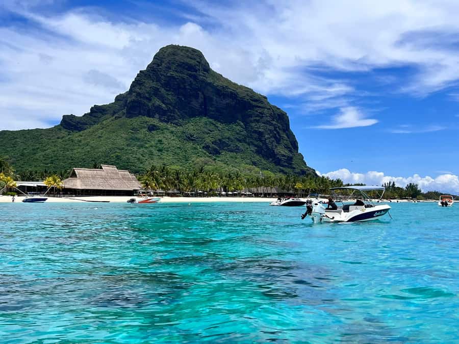 Le Morne: Private Boat Tour Dolphin-Watching & swimming - Swimming near wild dolphins