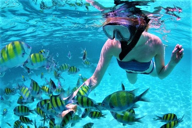 Luxury All-Inclusive Catamaran Cruise to Ile aux Cerfs and GRSE Waterfall - Snorkeling and optional watersports