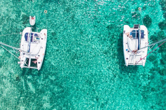 Luxury Catamaran Cruise: The Northern Islands - Ile Plate gives you another chance to swim