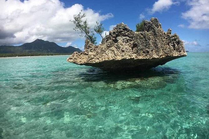 Lydia Boat Mauritius :Private boat tour:Whales&Dolphins encounter - Guides and the feel of a small local operation