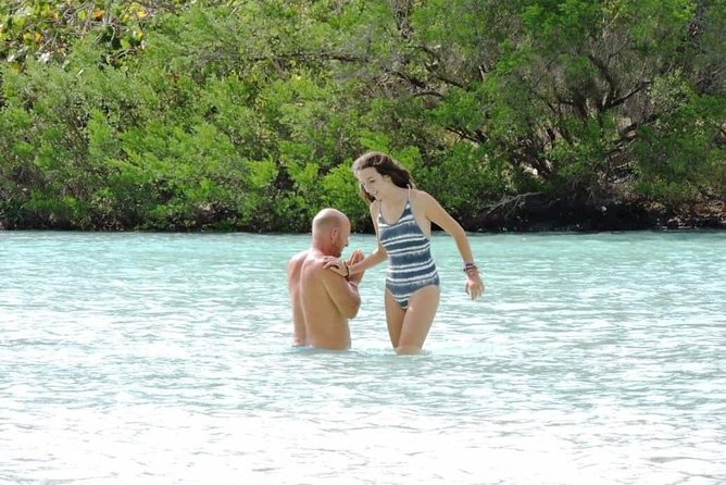 Marvelous Ile aux Cerf island: Speed Boat, Parasailing, Lunch & GRSE waterfall - Is $138.60 a good value?