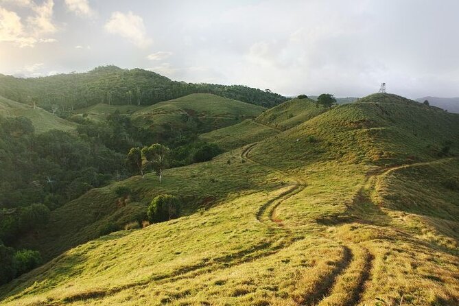 Mauritius: 2 Hours Buggy Ride - Bel Ombre Nature Reserve - Riding into Bel Ombre Nature Reserve