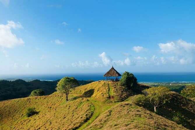 Mauritius: 2 Hours Buggy Ride - Bel Ombre Nature Reserve - Frederica waterfall is the main reward