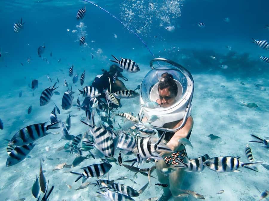 Mauritius: 3 Activities + Ile aux Cerfs Boat tour w/ BBQ - Speedboat ride to Grand River South East Waterfall