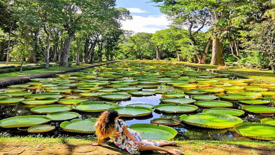 Mauritius: 3 Days Private Authentic Tour with hidden gems - FAQ