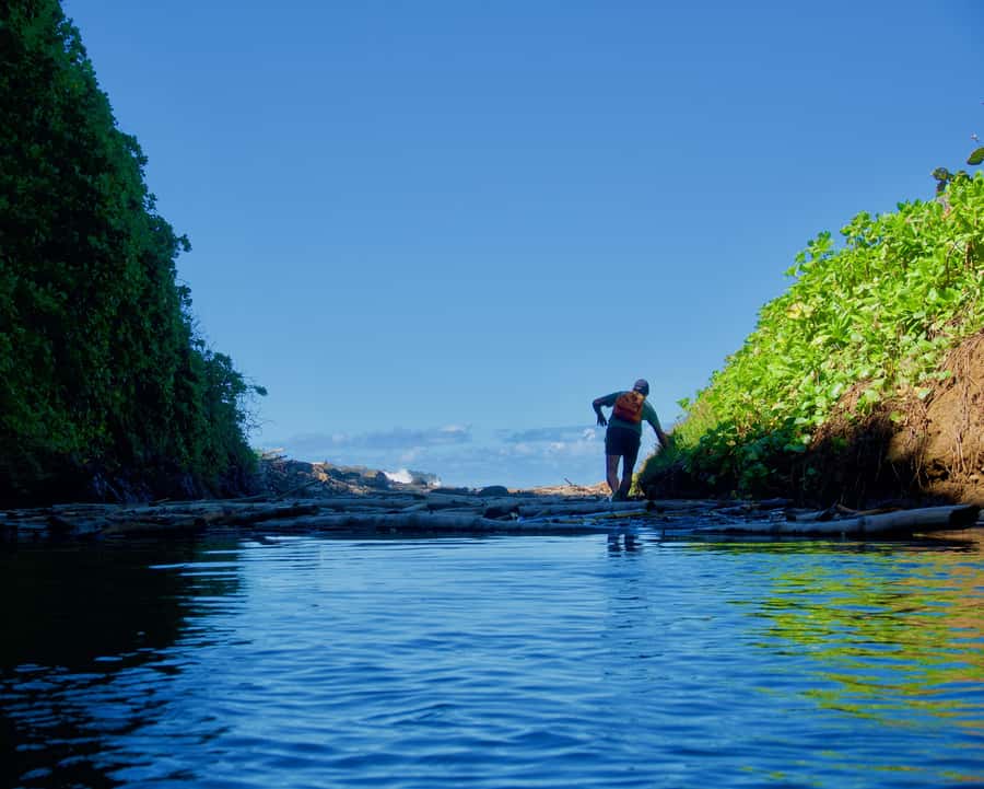 Mauritius: 3-Hour Hiking the Wild South Excursion - Waterfalls and natural pools