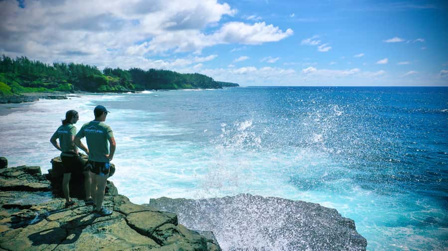 Mauritius: 3-Hour Hiking the Wild South Excursion - Is $64 a fair price?