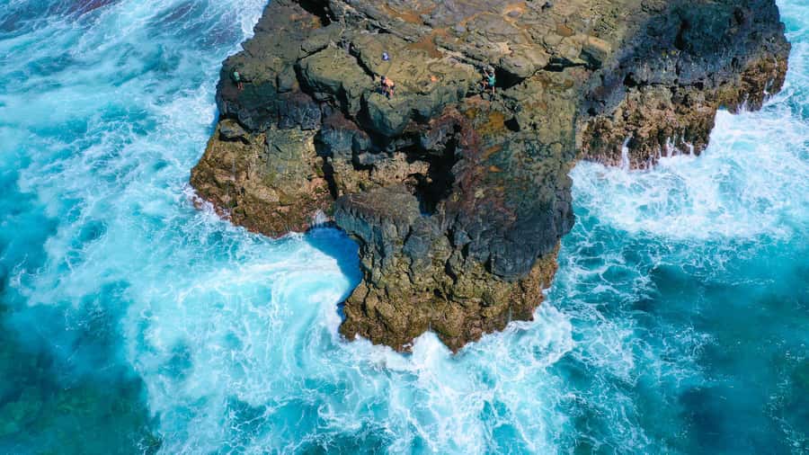 Mauritius: 3-Hour Hiking the Wild South Excursion - Forest paths, rivers, and changing ground