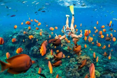 5 East Coast Islands Tour with Snorkeling & Lunch