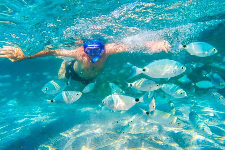 Mauritius: 5 East Coast Islands Tour with Snorkeling & Lunch - The speedboat is part of the attraction