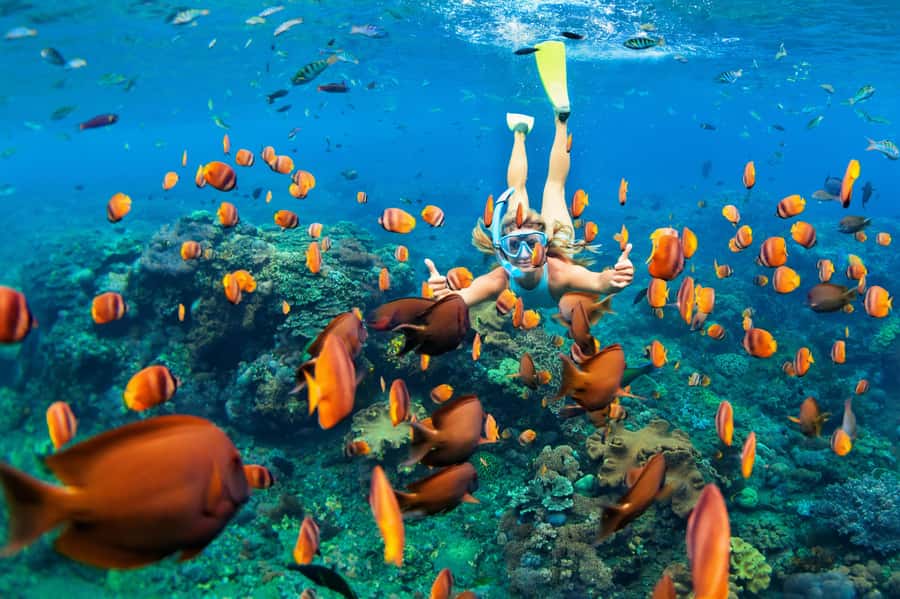 Mauritius: 5 East Coast Islands Tour with Snorkeling & Lunch - Ile aux Cerfs starts the morning with sand and shops