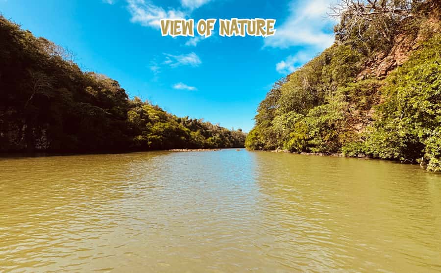Mauritius: 5 Islands of the East Speedboat Tour with BBQ - BBQ lunch at Îlot Mangenie