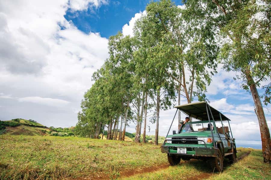 Mauritius: Bel Ombre Nature Reserve 4x4 Safari Adventure - Open grassland, forest, and mountain views