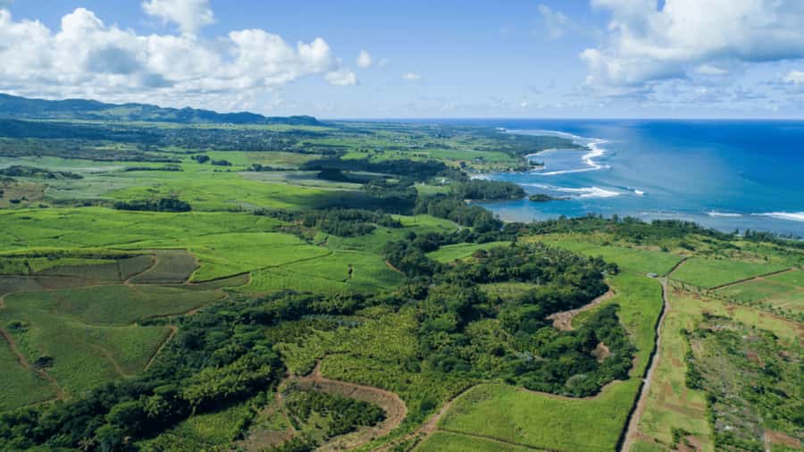 Mauritius: Bel Ombre Nature Reserve 4x4 Safari Adventure - Waterfalls and the short walking sections