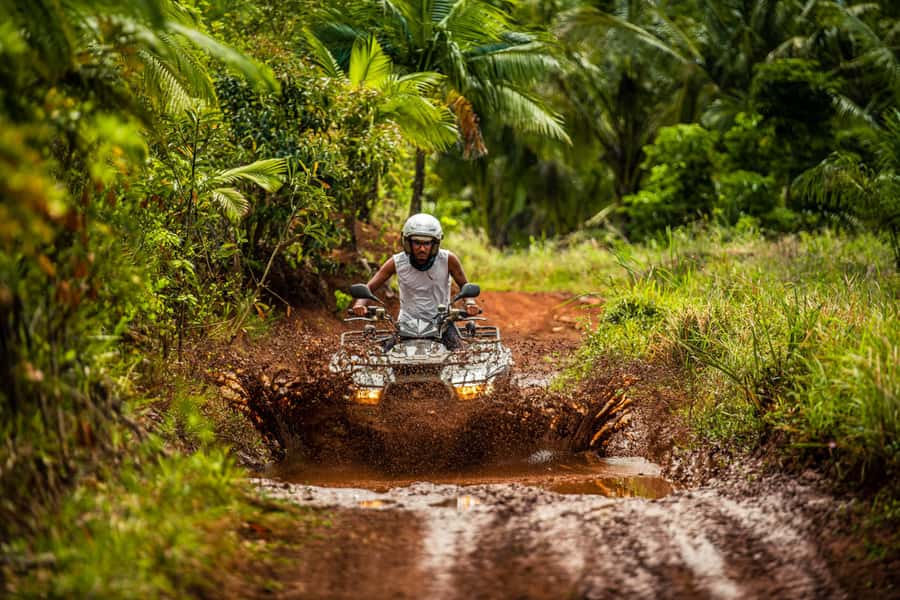 Mauritius: Bel Ombre Nature Reserve Quad Bike Tour - Wildlife without a zoo fence