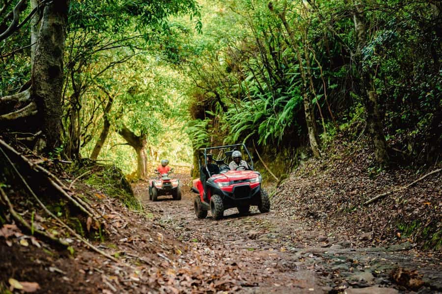Mauritius: Bel Ombre Nature Reserve Quad Bike Tour - Who should book this Bel Ombre adventure?