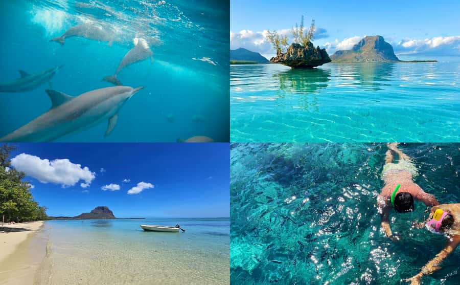 Mauritius: Benitier Island - Swim Dolphins - Speedboat & BBQ - The secret stop for swimming and snorkeling