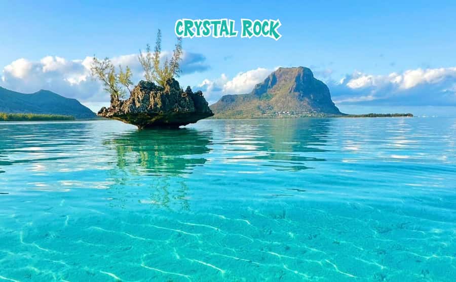 Mauritius: Benitier Island - Swim Dolphins - Speedboat & BBQ - Crystal Rock with Le Morne in the background