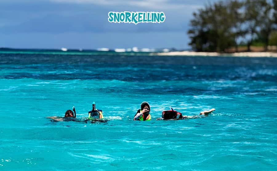 Mauritius: Benitier Island - Swim Dolphins - Speedboat & BBQ - Benitier Island and its shallow turquoise water