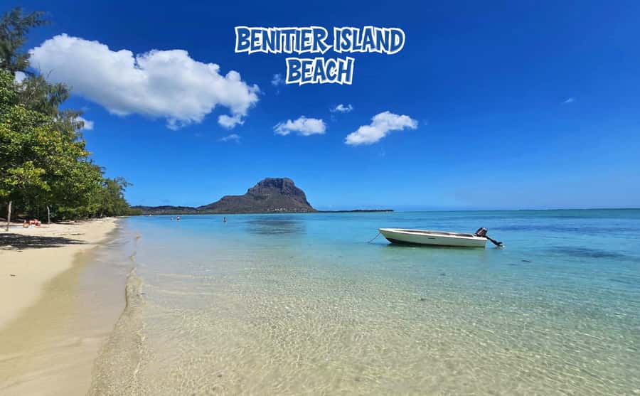 Mauritius: Benitier Island - Swim Dolphins - Speedboat & BBQ - What arrives on the BBQ plate
